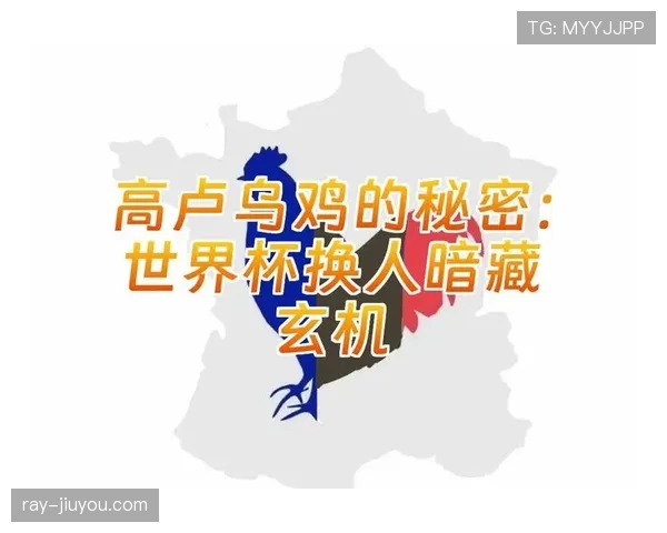 门将换人规则详解:换人时必须遵守的程序和判罚标准